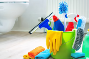 Messie Reinigung Leonberg